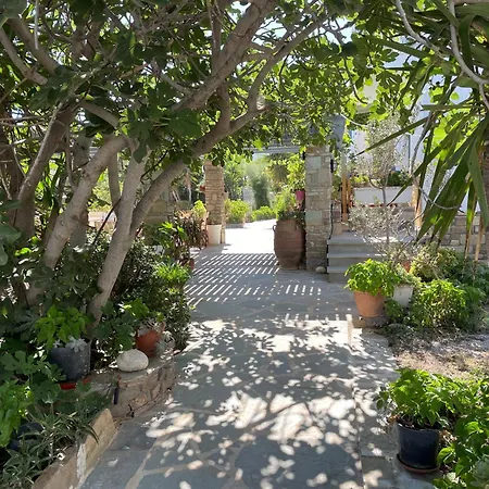 Ioanna Aparthotel Agios Prokopios (Naxos)