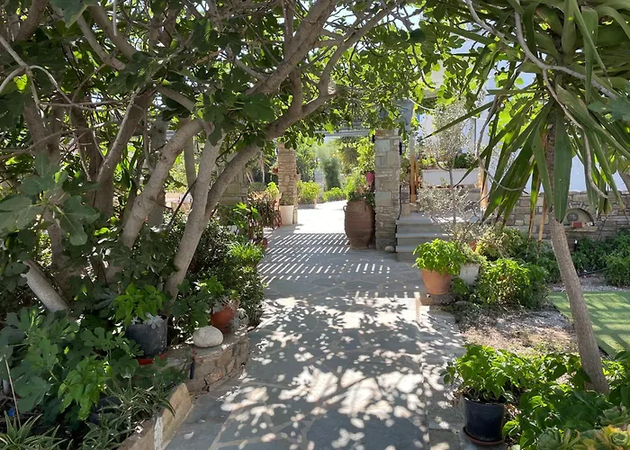 Ioanna Aparthotel Agios Prokopios (Naxos)