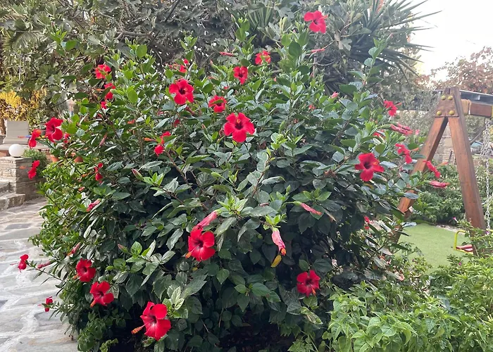 Aparthotel Ioanna 4*