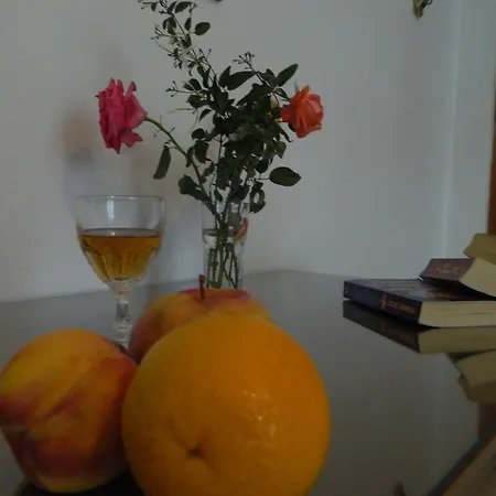 Ξενοδοχείο με διαμερίσματα ιωάννα Άγιος Προκόπιος